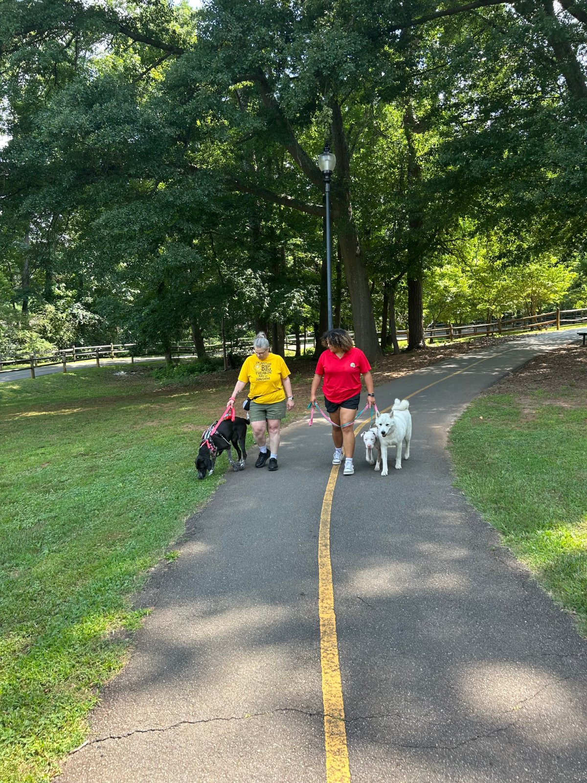 Georgia Pet Pal Pros walking dogs on a park trail