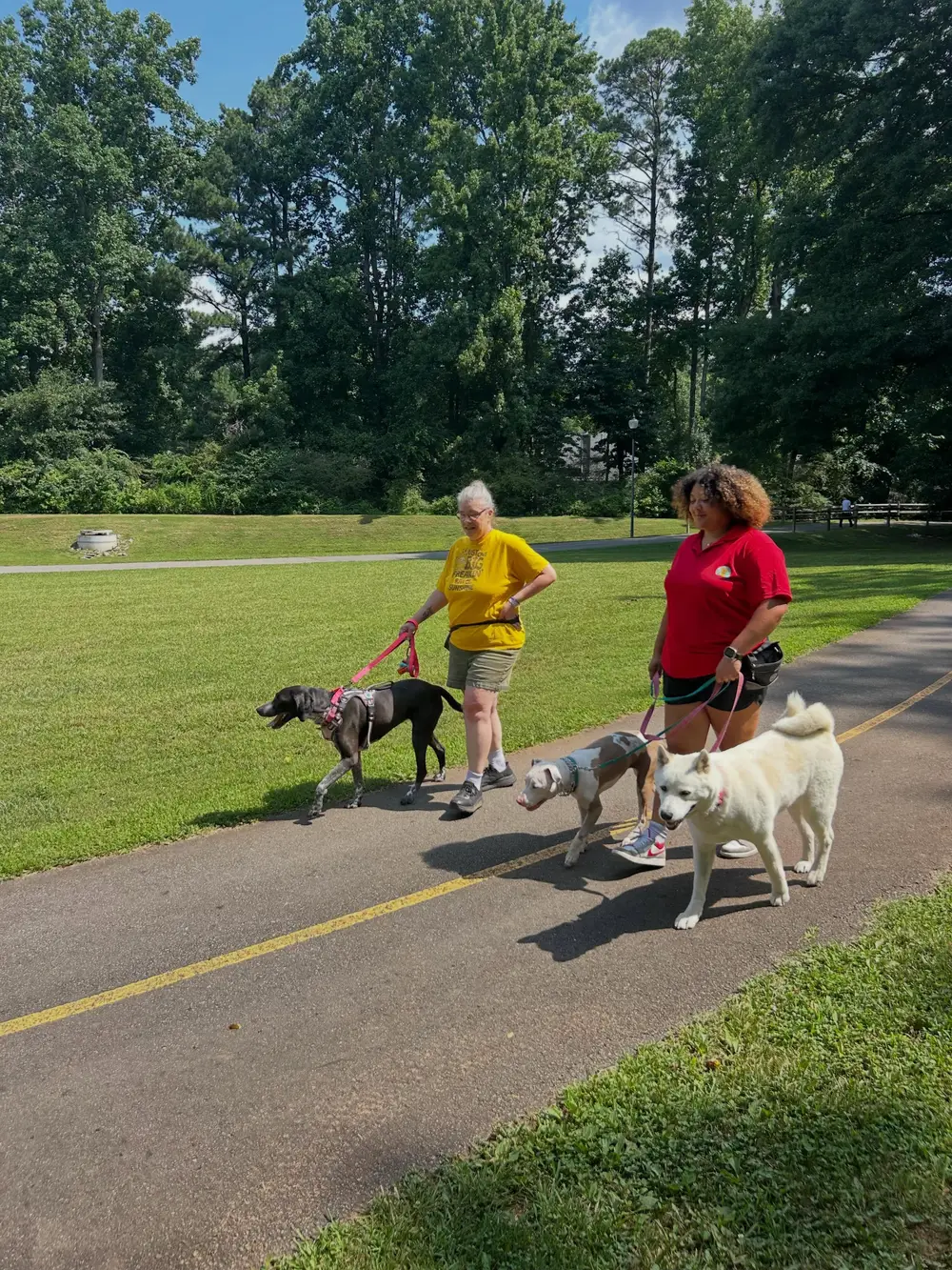 Two Georgia Pet Pal trainers out walking three dogs together